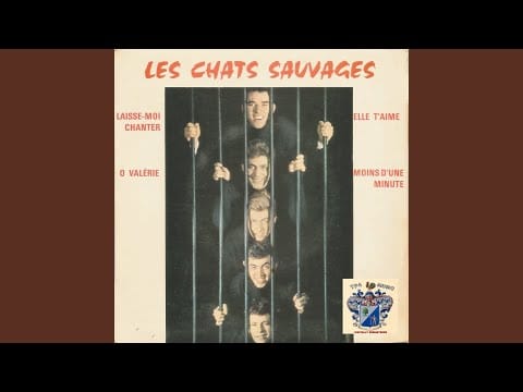 Les Chats Sauvages — Laisse-moi chanter