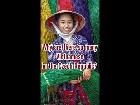 Christ B4 Everything — Why Are There So Many Vietnamese in the Czech Republic? #Shorts
