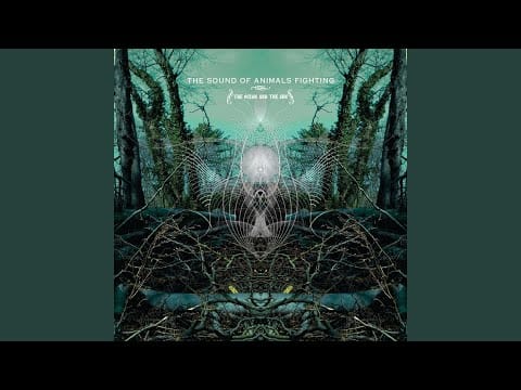 The Sound of Animals Fighting — The Ocean And The Sun