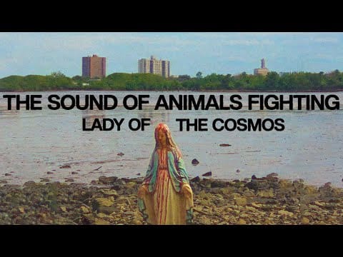 The Sound of Animals Fighting — The Sound of Animals Fighting - Lady of the Cosmos (Official Video)