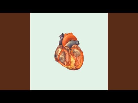 Severed Heads — Pure