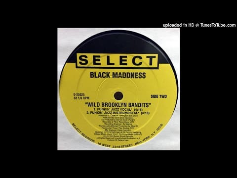 Black Maddness — Black Maddness - Wild Brooklyn Bandits (Funky Jazz Remix) 1993
