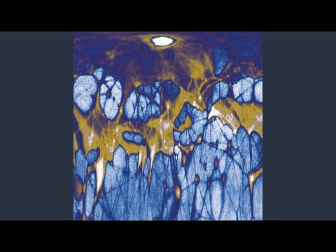 Inland — Solstice