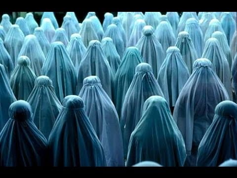 Qualchan. — qualchan. - zazen