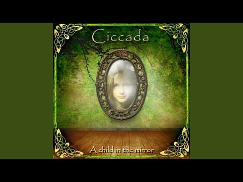 Ciccada — The Moment