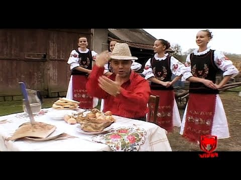 Sorina — Nicolae Guta - Parul lung si mintea scurta