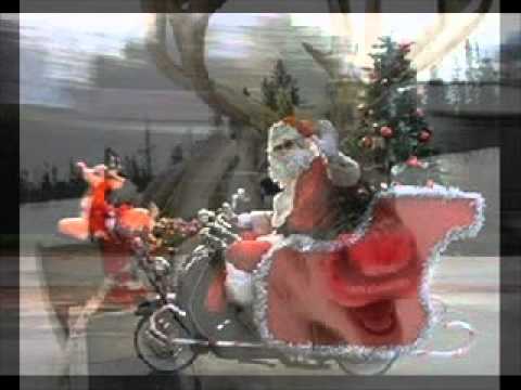 Shirley & Squirrely — Squirrely Christmas by Shirley & Squirrely