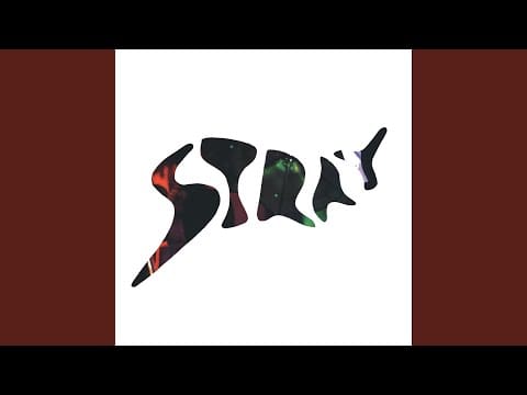 Stray (6) — Only What You Make It