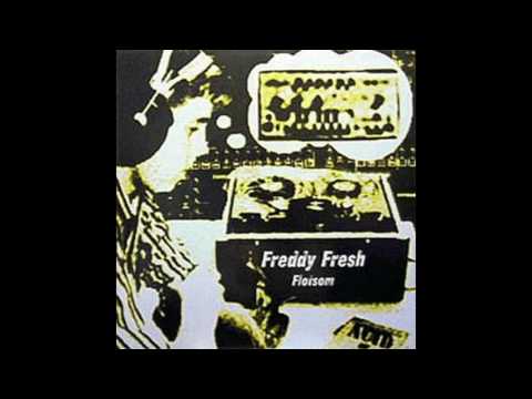 Freddy Fresh — Freddy Fresh - A Boy And His Moog (B1)
