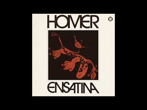 Homer Steinweiss — Homer - Start Select feat. Hether