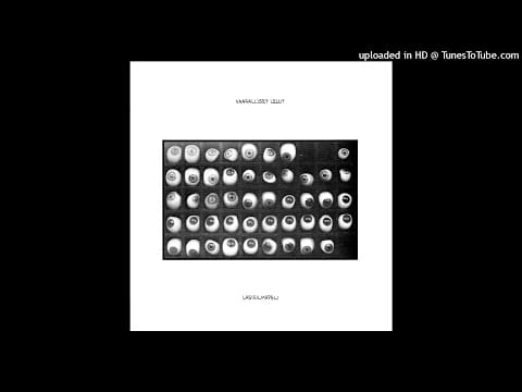 Vaaralliset Lelut — Vaaralliset Lelut - Voima du B