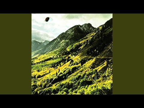 Woods (2) — Rain On
