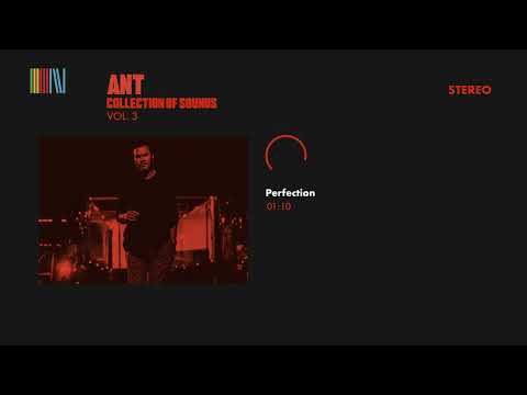 A.N.T. — Ant - Perfection (Official Audio)