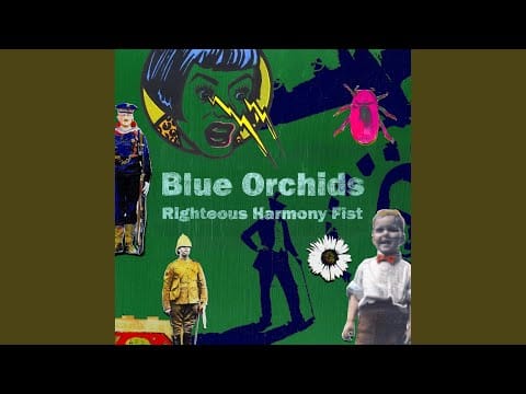 Blue Orchids — The Lad That Time Forgot