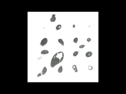 Hiroshi Tanaka (6) — 田中寛  &  不破洋一  /  Hiroshi Tanaka & Yoichi Fuwa — Untitled White Album II B-3