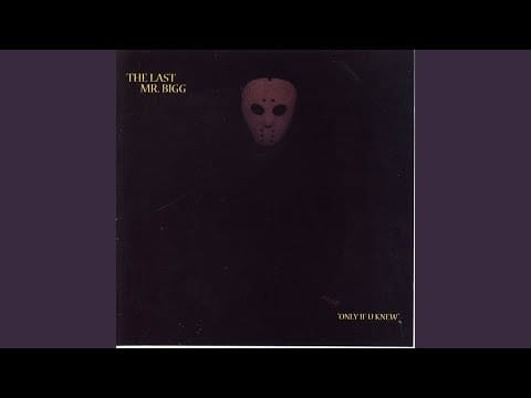 The Last Mr. Bigg — Rainy Dayz & Nights