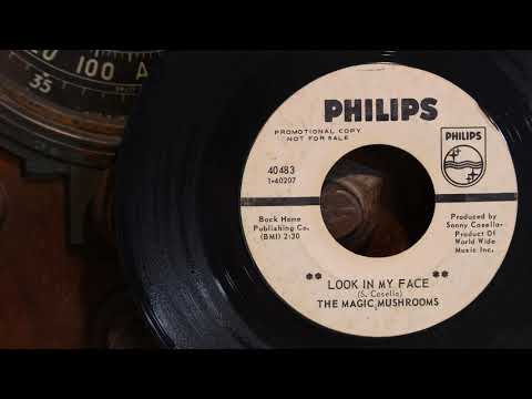 The Magic Mushrooms — The Magic Mushrooms - Look In My Face  ...1967