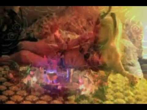 The Tear Garden — The Tear Garden - Counting Zeroes