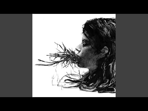 Parenthetical Girls — The Former