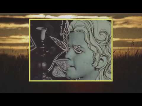 Memorex Memories — Memorex Memories - Curious Alice (Music Video)
