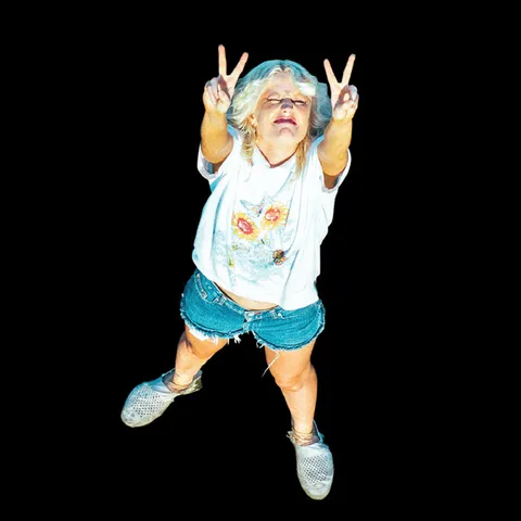 Amyl and the Sniffers