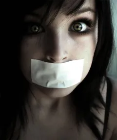 An Evening At Elmwood