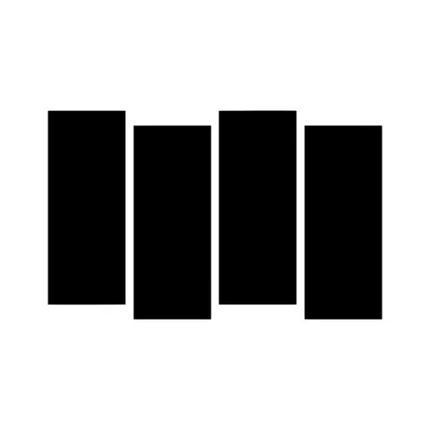 Black Flag