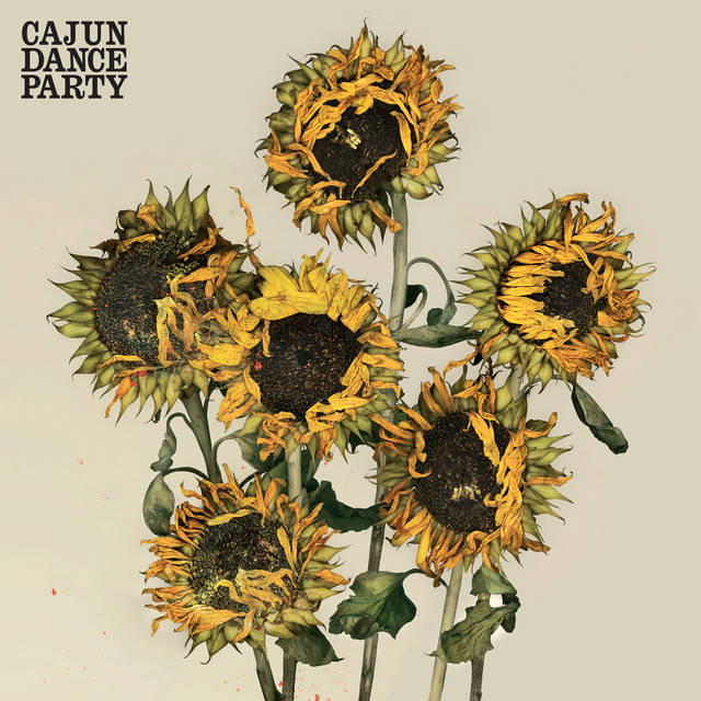 cajun dance party colourful life レコード 国内盤CD☆ケイジャン・ダンス・パーティ/Cajun Dance Party