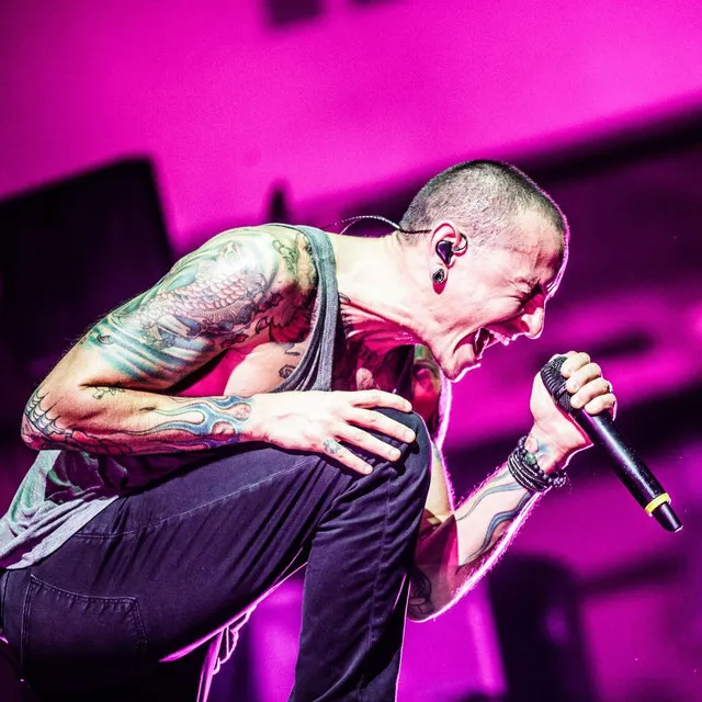 Chest