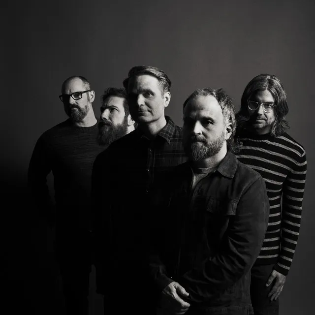 Foxglove Through the Clearcut by Death Cab For Cutie
