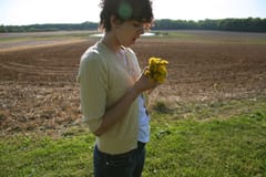 Gregory and the Hawk