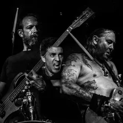 Snakes for the Divine