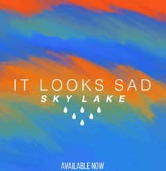 It Looks Sad.