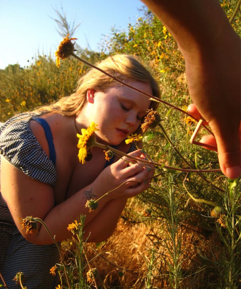 Juliet Sunflower