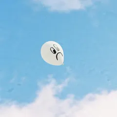 LARRY PINK THE HUMAN