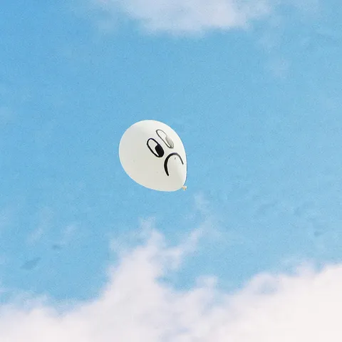 LARRY PINK THE HUMAN