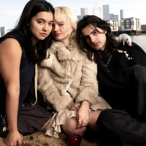 Mary In The Junkyard