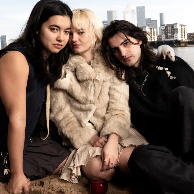 Mary In The Junkyard