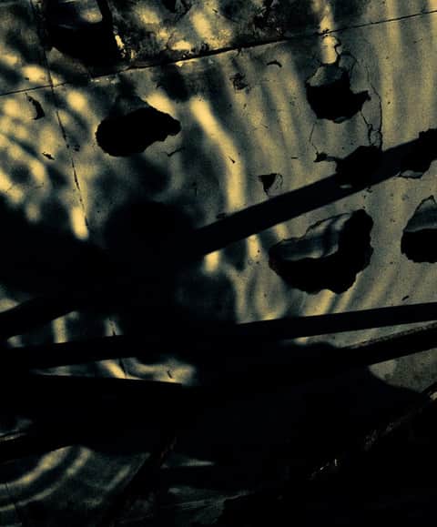 Memorist