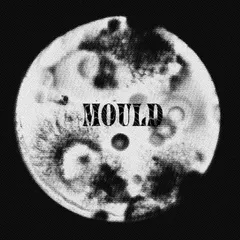 Mould