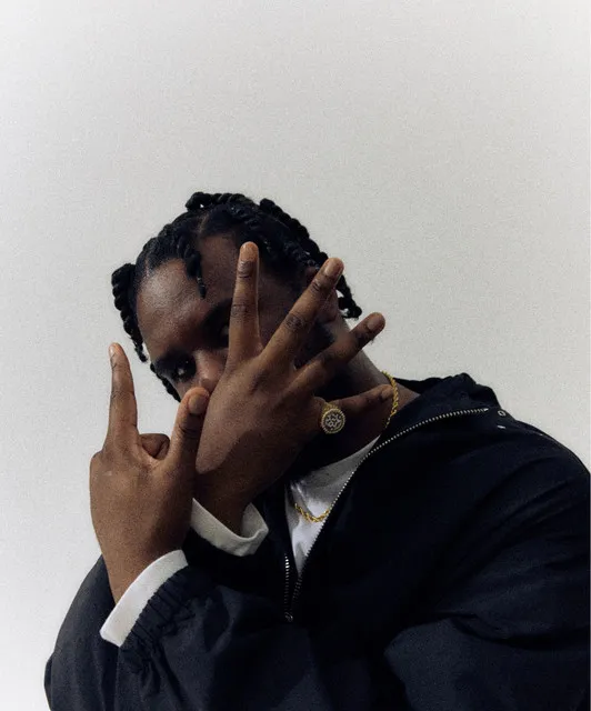 Novelist