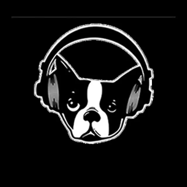 Snarky Puppy