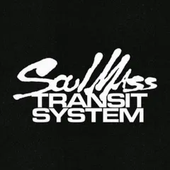 Soul Mass Transit System