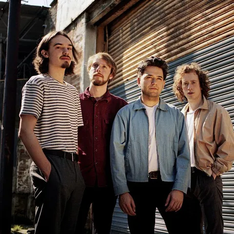 Animal by Spring King