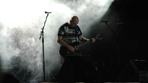 The Grey