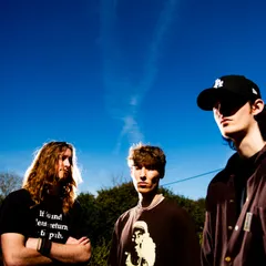 Torus, Danny L Harle