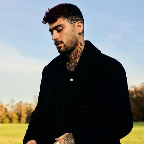 Zayn Malik