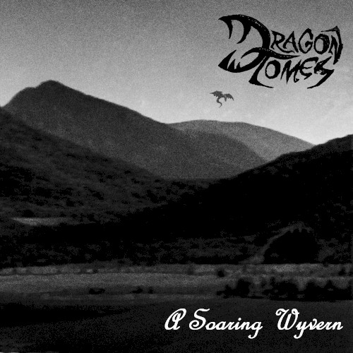 A Soaring Wyvern