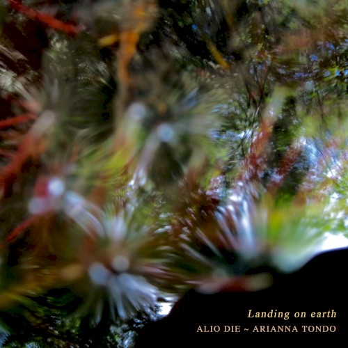 Landing On Earth