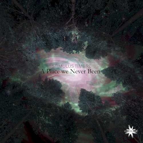 A Place We Never Been